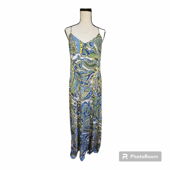 LOFT Dresses & Skirts - Ann Taylor Loft Paisley Maxi Dress Size 10